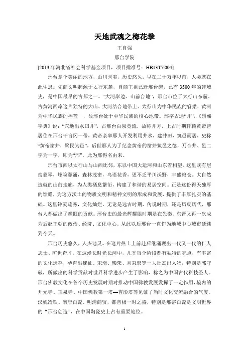 天地武魂之梅花拳