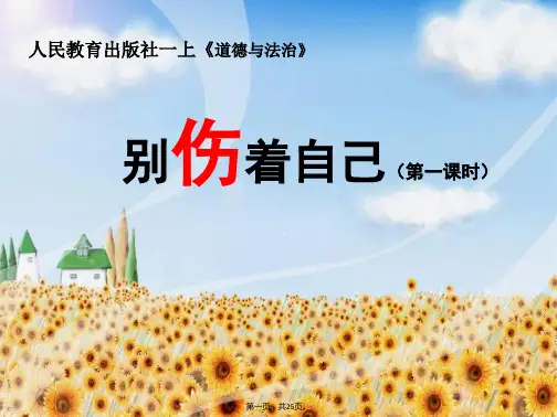 一年级上册道德与法治课件别伤着自己人教部编版PPT