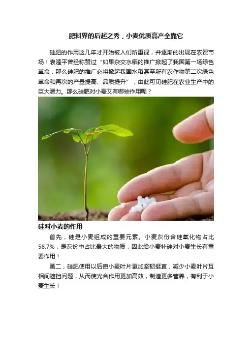 肥料界的后起之秀，小麦优质高产全靠它