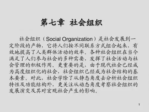 现代社会学第七章  社会组织