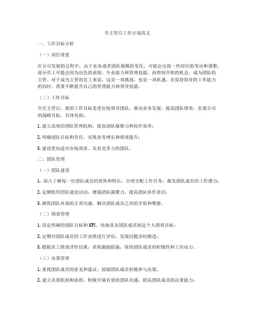 升主管后工作计划范文