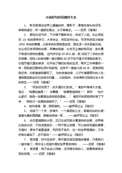 小说好句好段摘抄大全