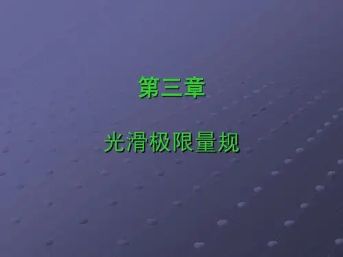 14.光滑极限量规