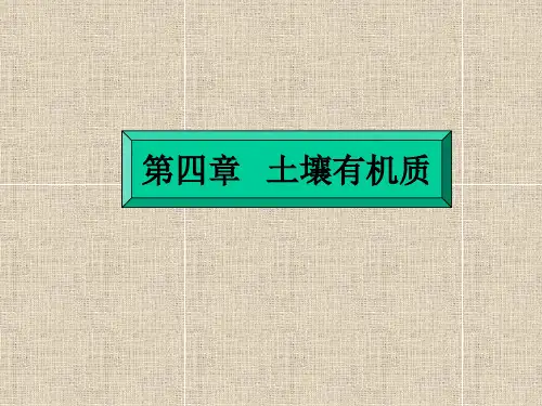 【2024版】第四章-土壤有机质