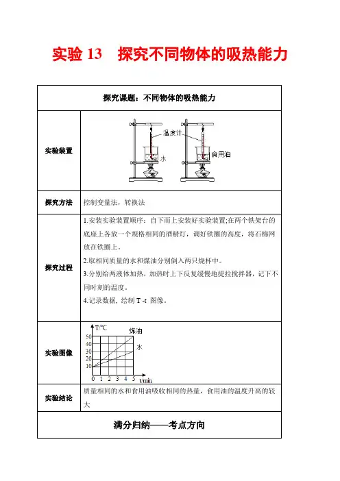 实验13  探究不同物体的吸热能力-备战2021年中考物理必考实验精解精练(解析版)
