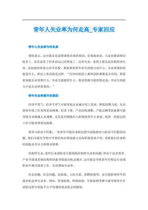 青年人失业率为何走高专家回应