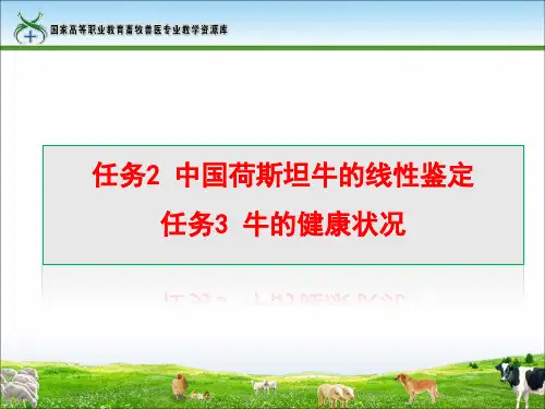 任务2中国荷斯坦牛的线性鉴定任务3牛的健康状况