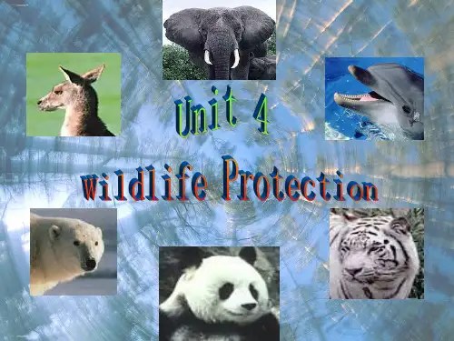 人教版高中英语必修二unitwildlifeprotectionreading课件PPT