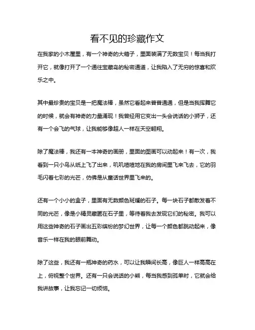 看不见的珍藏作文