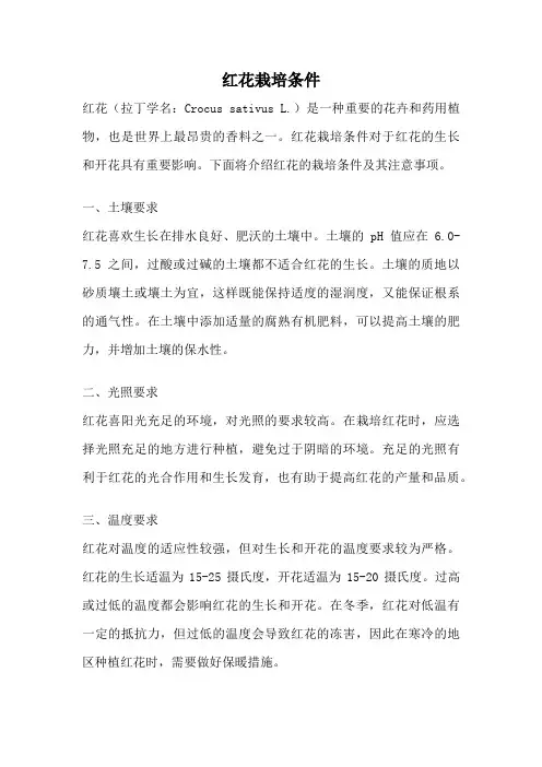 红花栽培条件