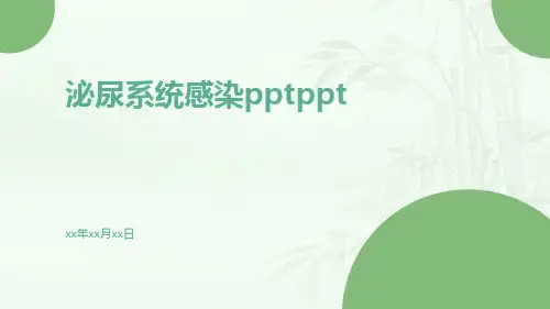 泌尿系统感染PPTppt