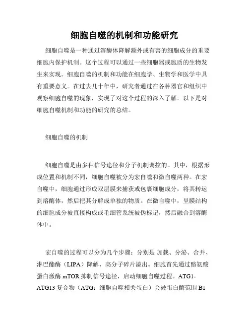 细胞自噬的机制和功能研究