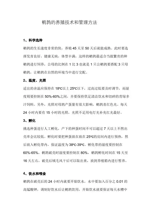 鹌鹑的养殖技术及方法