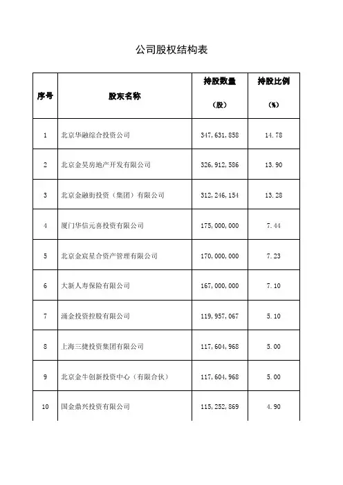公司股权结构表