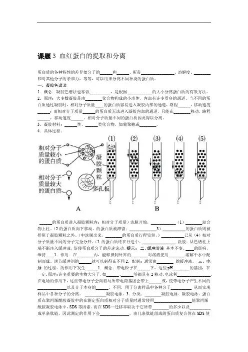 人教版生物高二选修一53血红蛋白的提取和分离学案有答案 副本