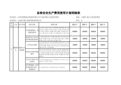 总体安全生产费用计划表明细