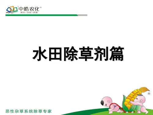 中皓水稻田除草剂