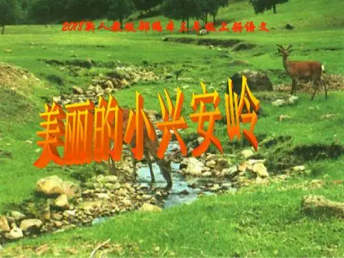 部编版三年级上册语文第20课《美丽的小兴安岭》课件