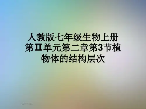 人教版七年级生物上册第Ⅱ单元第二章第3节植物体的结构层次
