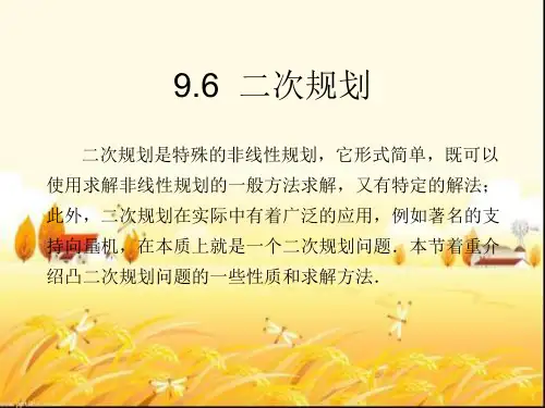 二次规划  ppt课件