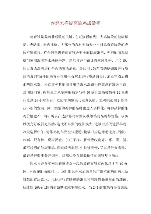 养鸡怎样提高雏鸡成活率