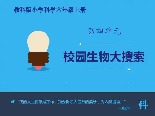 《校园生物大搜索》PPT课件