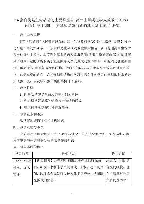 2.4第1课时氨基酸是蛋白质的基本基本单位 高一上人教版2019必修1 教案
