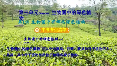 中考生物面对面第三单元生物圈中的绿色植物第1讲生物圈中有哪些绿色植物复习