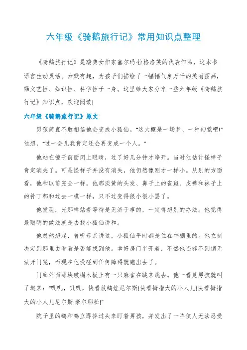 六年级《骑鹅旅行记》常用知识点整理