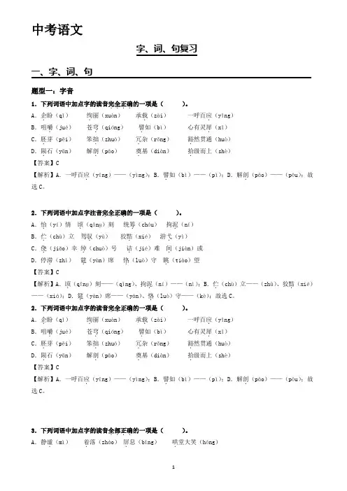 2024年中考语文 字词句复习解析 