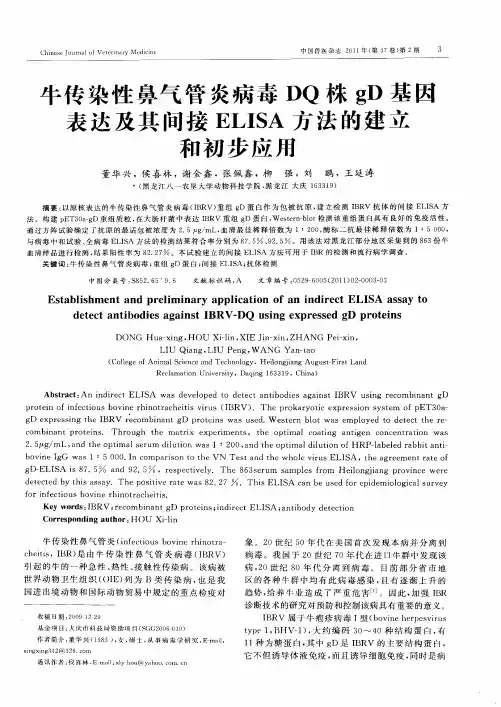 牛传染性鼻气管炎病毒DQ株gD基因表达及其间接ELISA方法的建立和初步应用