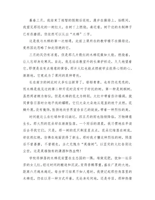 七年级叙事类作文 ：木棉花事