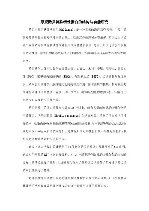 厚壳贻贝特殊活性蛋白的结构与功能研究