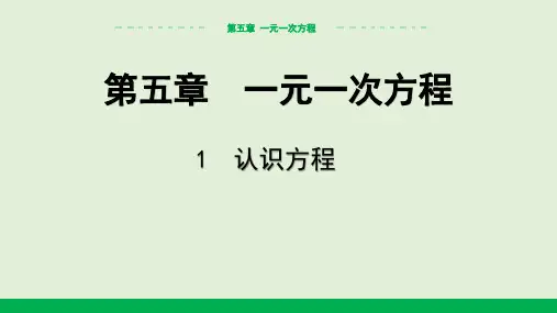 2024-2025学年初中数学七年级上册(北师版)教学课件5.1认识方程