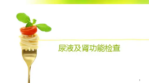 肾功能PPT课件