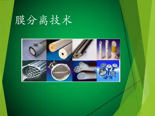 膜分离技术 概述和基本原理