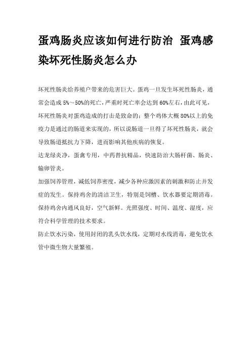 蛋鸡肠炎应该如何进行防治 蛋鸡感染坏死性肠炎怎么办