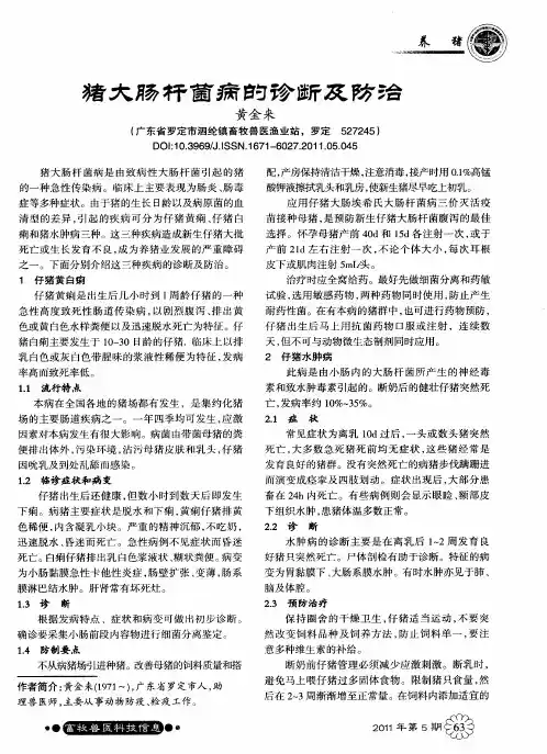 猪大肠杆菌病的诊断及防治