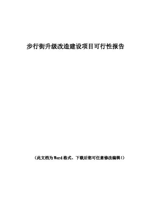 步行街升级改造建设项目可行性报告