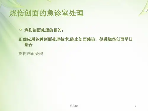 急诊清创之烧伤创面处理PPT课件