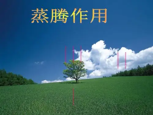 (北师大版)七年级生物上册5.4蒸腾作用课件