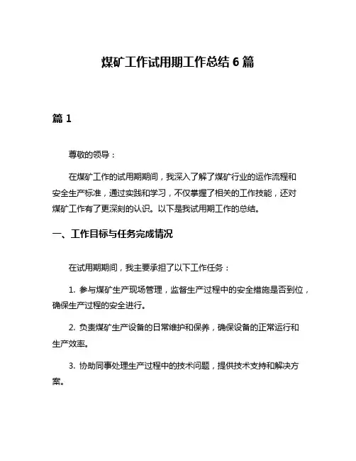 煤矿工作试用期工作总结6篇