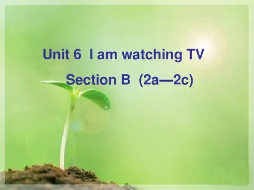 Unit 6  I’m watching TV. Section B