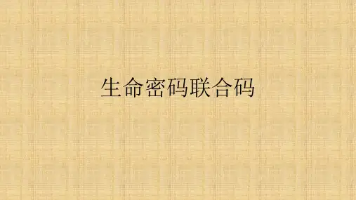 生命密码联合码精编版