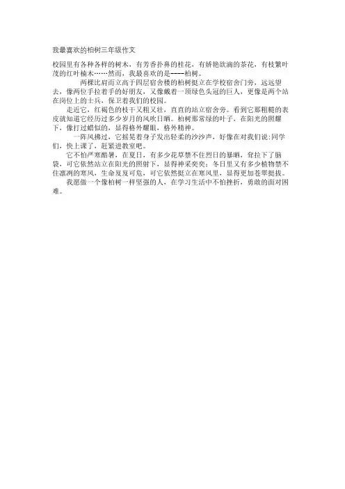 我最喜欢的柏树三年级作文