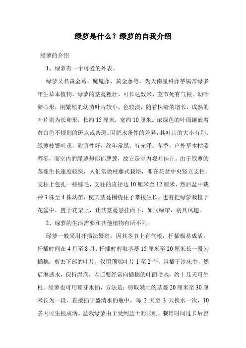 绿萝是什么？绿萝的自我介绍