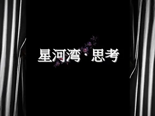 广州星河湾半岛营销策划全案