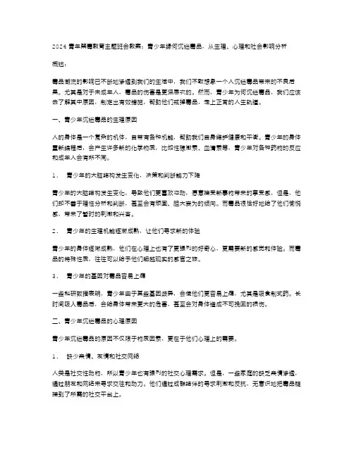 2024青年禁毒教育主题班会教案：青少年缘何沉迷毒品,从生理、心理和社会影响分析