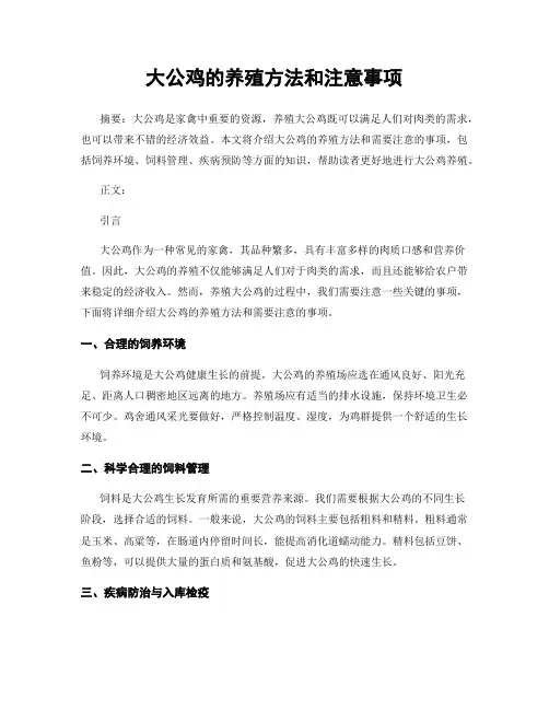 大公鸡的养殖方法和注意事项