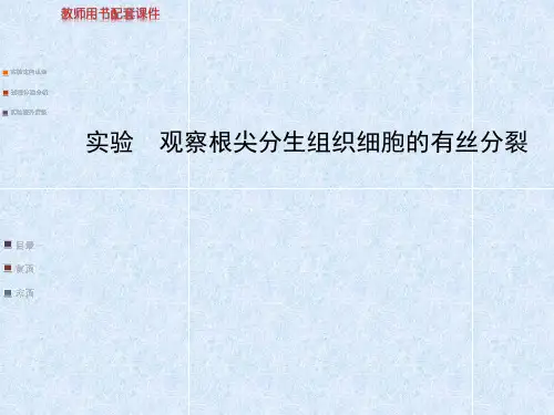观察根尖分生组织细胞的有丝分裂